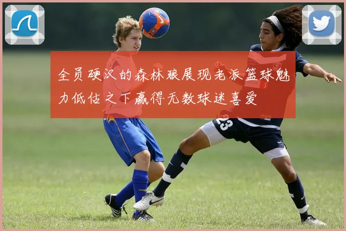 全员硬汉的森林狼展现老派篮球魅力低估之下赢得无数球迷喜爱