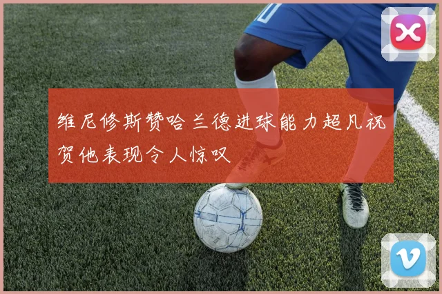 维尼修斯赞哈兰德进球能力超凡祝贺他表现令人惊叹