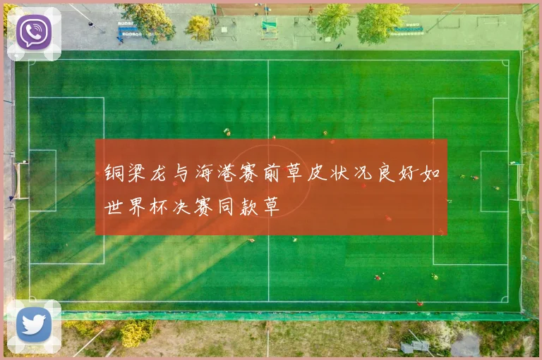 铜梁龙与海港赛前草皮状况良好如世界杯决赛同款草