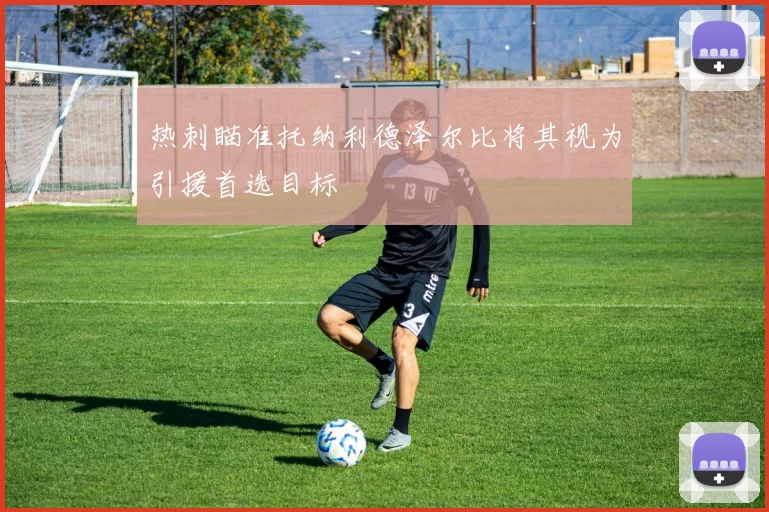 热刺瞄准托纳利德泽尔比将其视为引援首选目标