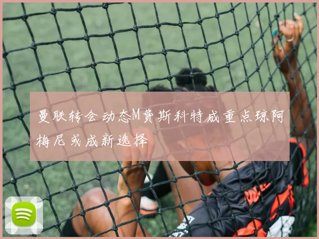 曼联转会动态M费斯科特成重点琼阿梅尼或成新选择